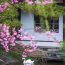 莫愁湖公园-莫愁女 - 南京市旅游 缩略图 4
