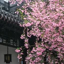 莫愁湖公园-莫愁女 - 南京市旅游 缩略图 6