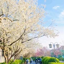 齐白石旧居-纪念馆 - 北京市旅游 缩略图 3