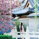 齐白石旧居-纪念馆 - 北京市旅游 缩略图 1