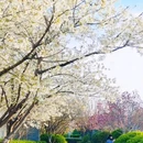 齐白石旧居-纪念馆 - 北京市旅游 缩略图 6