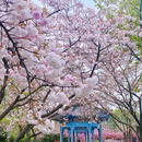 南京中国绿化博览园 - 南京旅游 缩略图 1