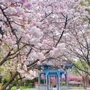 南京中国绿化博览园 - 南京旅游 缩略图 5