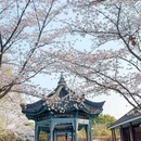 南京中国绿化博览园 - 南京旅游 缩略图 4