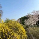 南京中国绿化博览园 - 南京旅游 缩略图 9