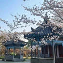 南京中国绿化博览园 - 南京旅游 缩略图 8