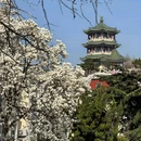 金口一路与鱼山支路交叉口 - 青岛市旅游 缩略图 7