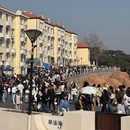 琴语海民宿(青岛栈桥八大关景区店) - 青岛市旅游 缩略图 6