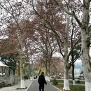 长沙湘江宾馆1968 - 长沙市旅游 缩略图 3