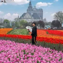 荷兰花海游客中心 - 盐城市旅游 缩略图 5