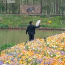 荷兰花海游客中心 - 盐城市旅游 缩略图 6
