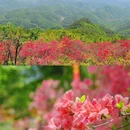 新昌韩妃江·安岚酒店 - 绍兴市旅游 缩略图 8