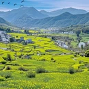 婺源江湾景区 - 上饶市旅游 缩略图 1