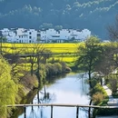 婺源江湾景区 - 上饶市旅游 缩略图 5