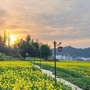 婺源江湾景区 - 上饶市旅游 缩略图 4
