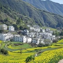 婺源江湾景区 - 上饶市旅游 缩略图 7
