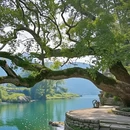 婺源江湾景区 - 上饶市旅游 缩略图 9
