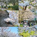 玄武湖景区 - 南京市旅游 缩略图 4