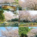玄武湖景区 - 南京市旅游 缩略图 3