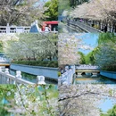 玄武湖景区 - 南京市旅游 缩略图 6