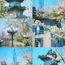 玄武湖景区 - 南京市旅游 缩略图 7