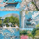 玄武湖景区 - 南京市旅游 缩略图 8