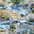 玄武湖景区 - 南京市旅游 缩略图 9