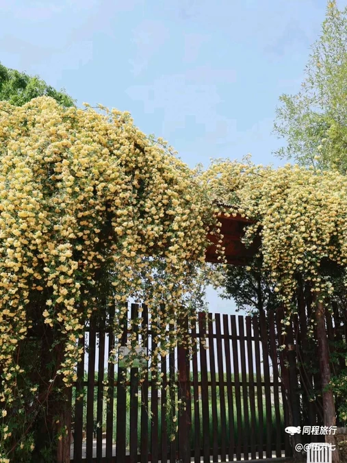 崔岗艺术村 - 合肥市旅游