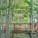 齐云山自由家营地 - 黄山市旅游 缩略图 8