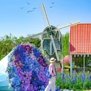 世界花卉大观园 - 北京市旅游 缩略图 2