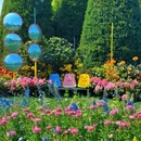 世界花卉大观园 - 北京市旅游 缩略图 6