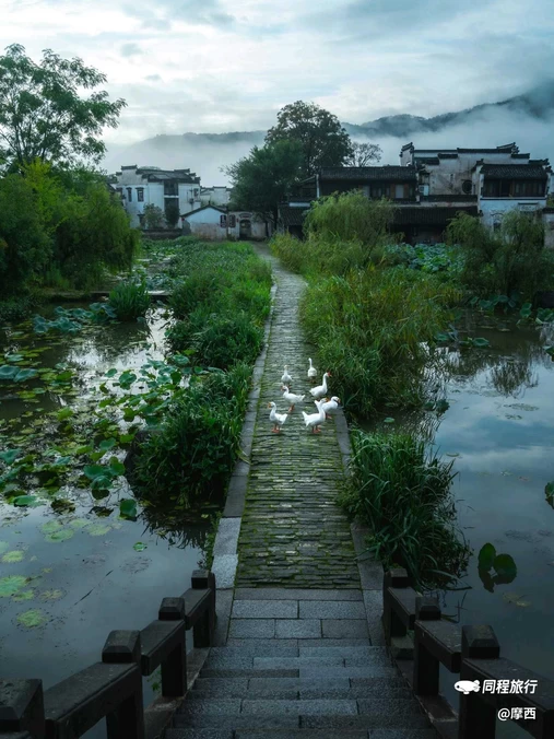 呈坎八卦村景区 - 黄山市旅游