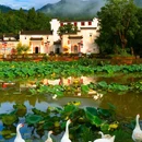 呈坎八卦村景区 - 黄山市旅游 缩略图 5