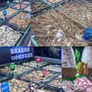 烟火码头·海鲜Bazaar自助(东门步行街店) - 深圳市旅游 缩略图 9