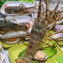 粤陈记煲仔粥(南山店) - 深圳市旅游 缩略图 1