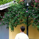 颐和路 - 南京市旅游 缩略图 6