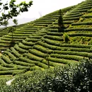 拔山村村委会 - 杭州市旅游 缩略图 2