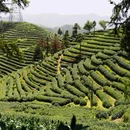 拔山村村委会 - 杭州市旅游 缩略图 1