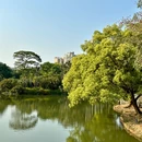 华南国家植物园 - 广州旅游 缩略图 9
