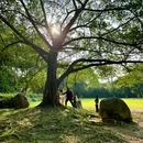 华南国家植物园 - 广州旅游 缩略图 8
