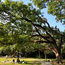 华南国家植物园 - 广州旅游 缩略图 7