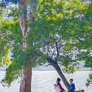 干沟尾湿地公园天空之镜 - 昆明市旅游 缩略图 9