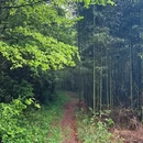 溧水区东庐山观音寺西桃园 - 南京市旅游 缩略图 7