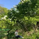 共青国家森林公园 - 上海市旅游 缩略图 4