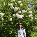 共青国家森林公园 - 上海市旅游 缩略图 7