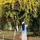 古林公园 - 南京市旅游 缩略图 3