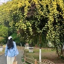 古林公园 - 南京市旅游 缩略图 7
