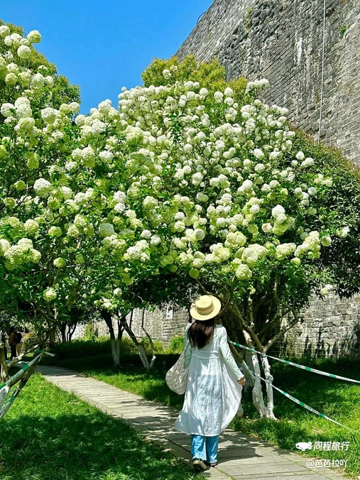 南京城墙富贵山登城口 - 南京市旅游