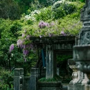 南京音乐台 - 南京市旅游 缩略图 1