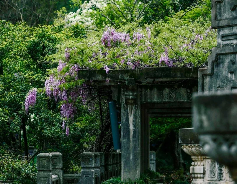 南京音乐台 - 南京市旅游 1
